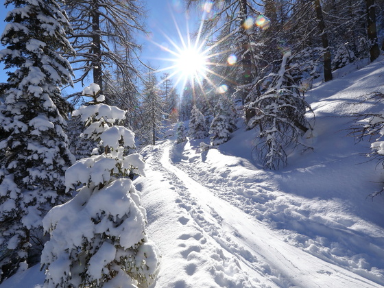 Winterlandschaft