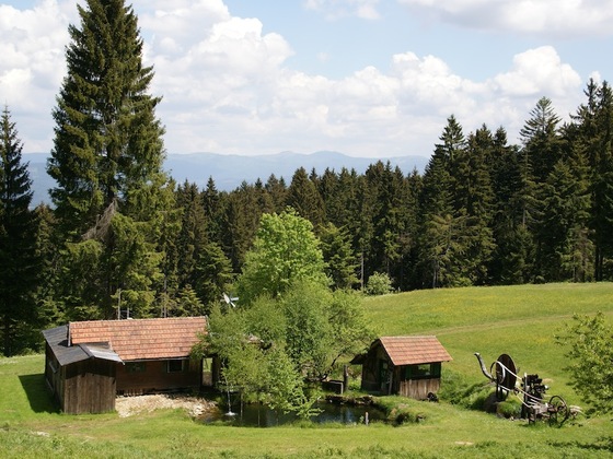 Pröllersäge