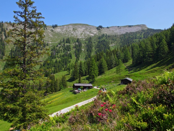 Karseggalm, 1.603 m