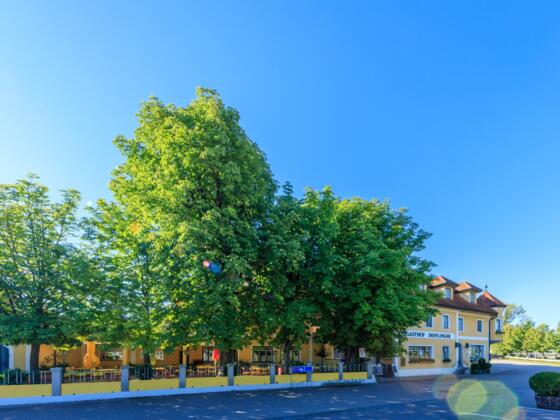 IMG_6890-HDR-2_Fullpx