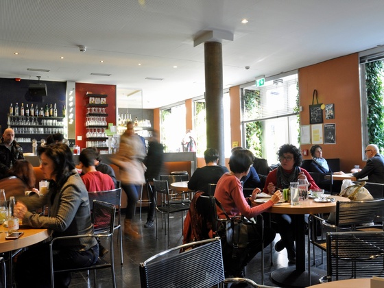 Gelbes Krokodil (1)_ES