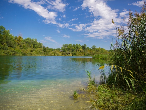 Weikerlsee Linz_c_Lilium Pictures (4)