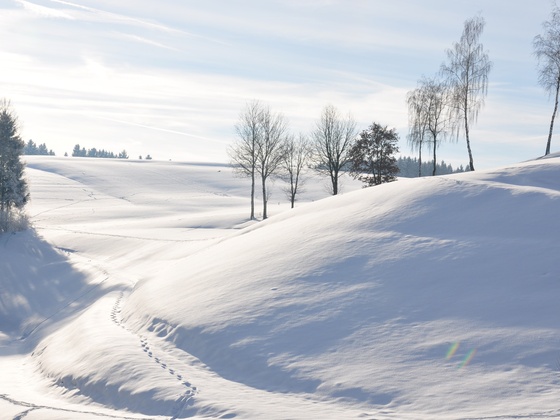 Langlaufen in St. Aegidi