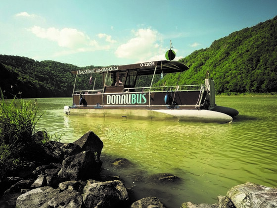 Donaubus 2017 neu