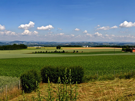 Panoramablick Rabenberg