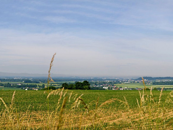 Panoramablick Perg Weinzierl