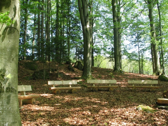 Waldschule in Reisdorf