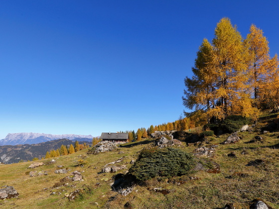 Saukaralm, 1.850 m