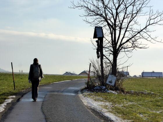 Zwischen Arnsdorf und Gunsering.