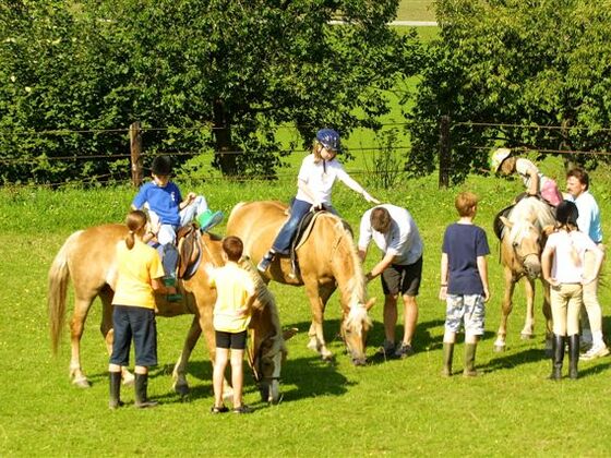 Reiten am Bauernhof der Familie Kainberger