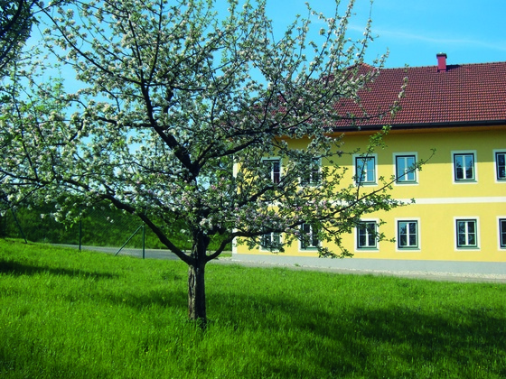 Urlaub am Bauernhof Familie Auinger