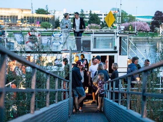 flap-at_www_walross_at_am-steg_hires_cmyk