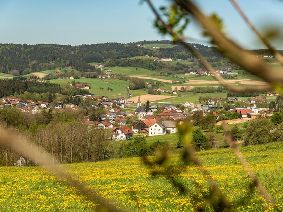 Natternbach (Dr. Noehammer Friedl)