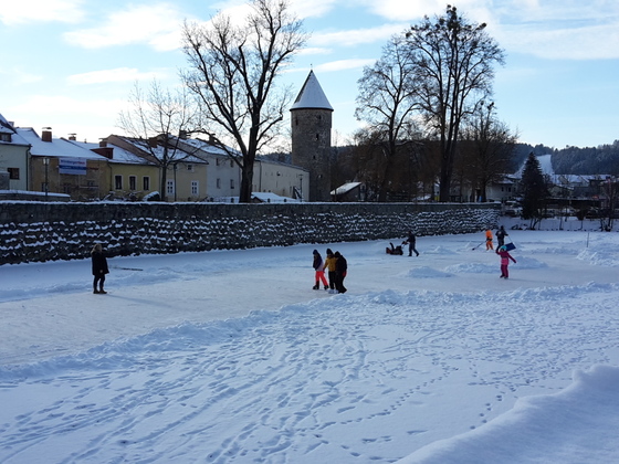 Eislaufen Frauenteich