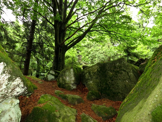 Haugstein