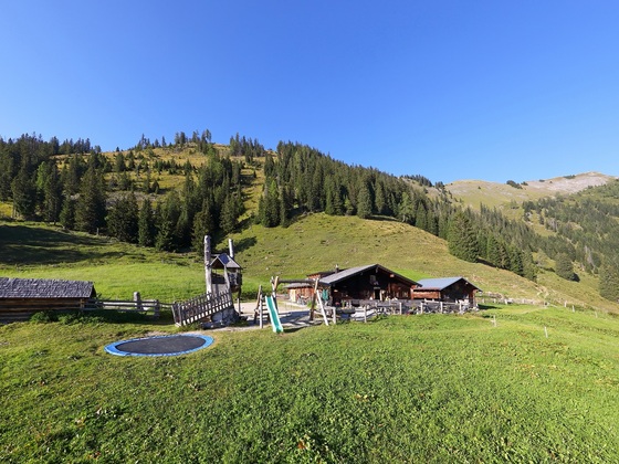 Unterwandalm, 1.600 m