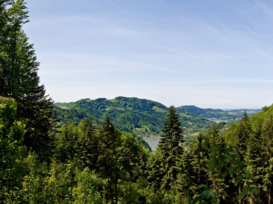 Panoramablick Schwarze Wand