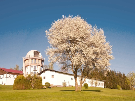 foto_erlebnisturm-freinberg