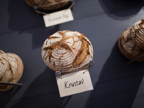 Krustav Brotlaib