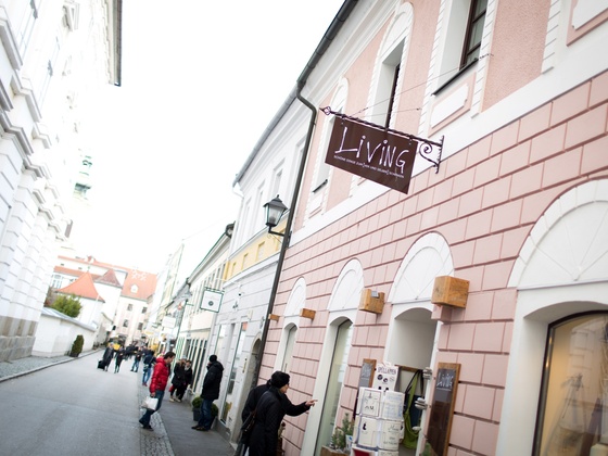 living_aussenansicht-mesic