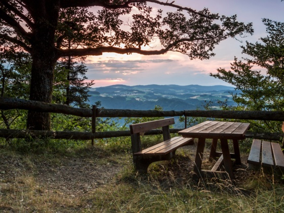 Wandern Burgstallrunde