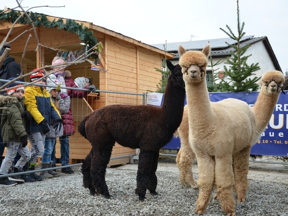 Christkindlmarkt Hanslauer (28)