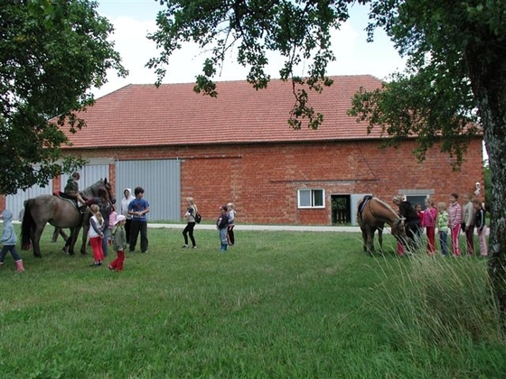 Reitstall Scheuringer-Reiter