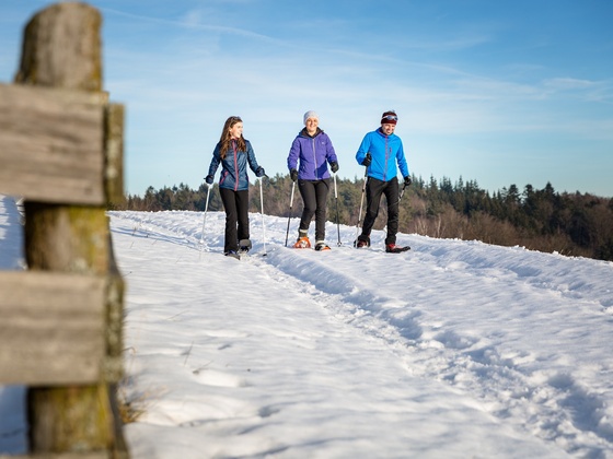 Schneeschuhwandern in Haibach