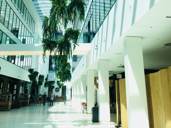 promenaden-galerie_quer_-c-visitlinz_fs