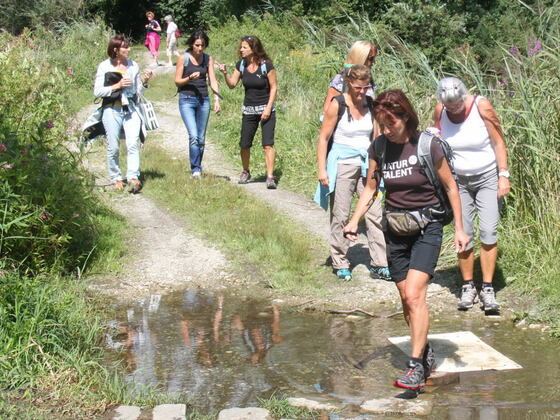 Naturerlebnis Donausteig