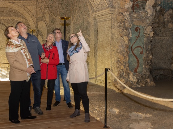 Stadtrundgang Grein - Führung Schloss Greinburg