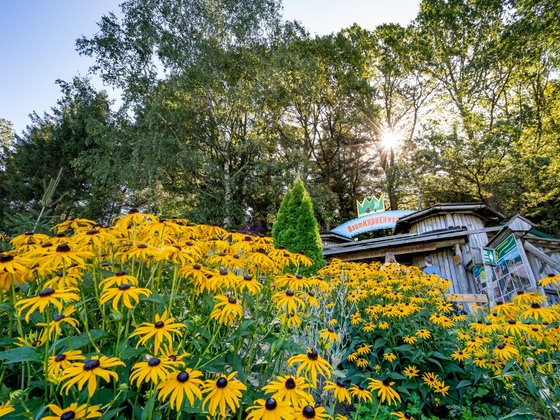 Mädchen blickt durch Fernrohr