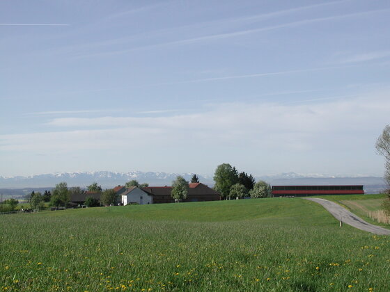 Reitstall Scheuringer-Reiter