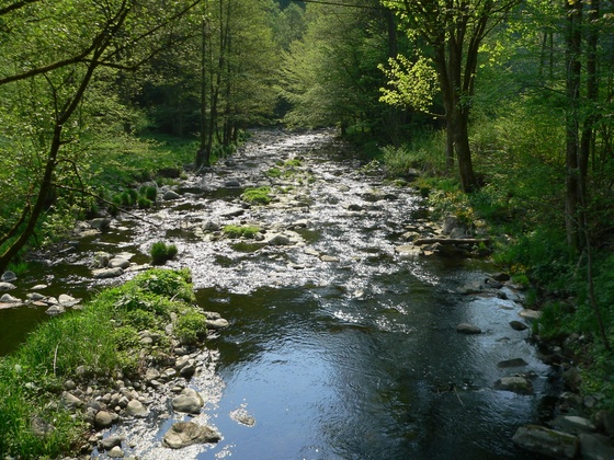 Naturschutzgebiet Rannatal