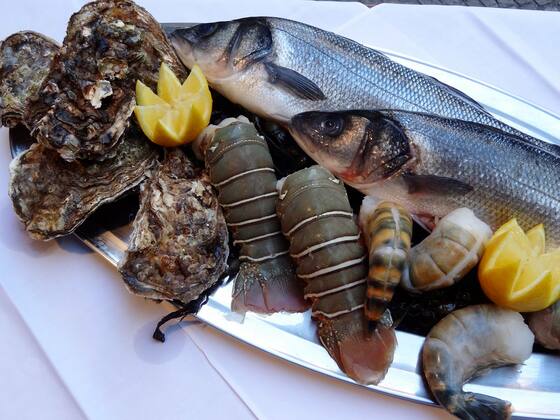 Zum kleinen Griechen