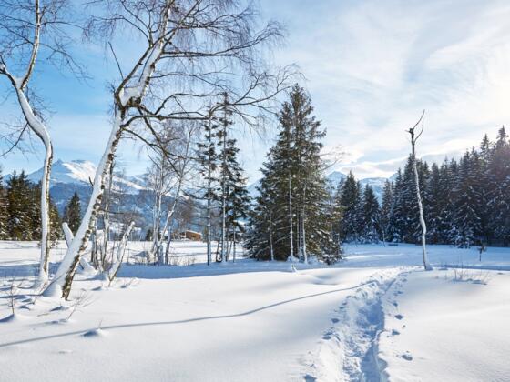 Das verschneite Hochmoor am Pass Thurn
