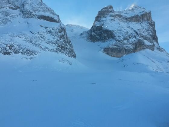 Blick in den Rachen