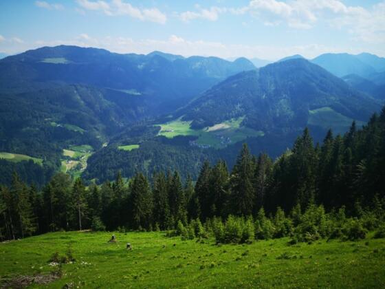 Blick von der Ascherjochalm Richtung Jochberg