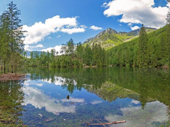Wiesensee