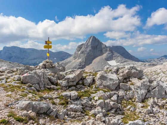 Am Fleischbanksattel (2123 m), im Hintergrund der Temlberg