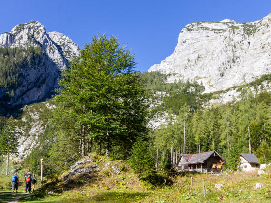 Vorbei an der Poppenalm (1054 m)