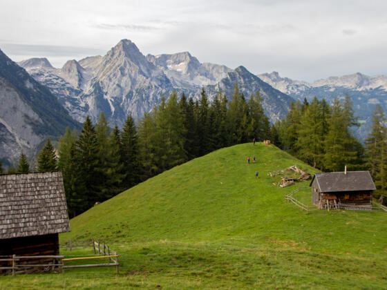 Hochsteinalm (1296 m)