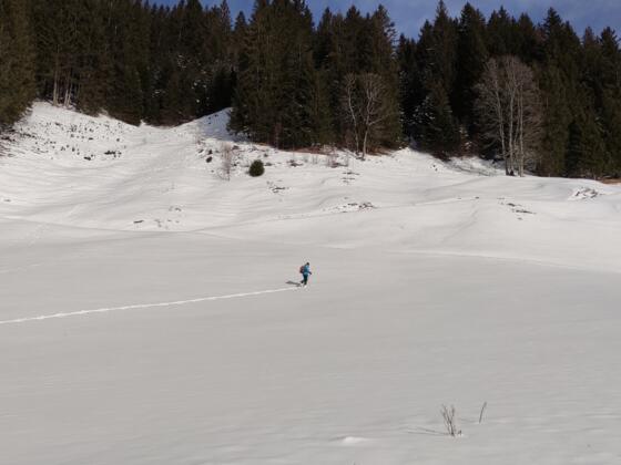 Erster Wiesenhang