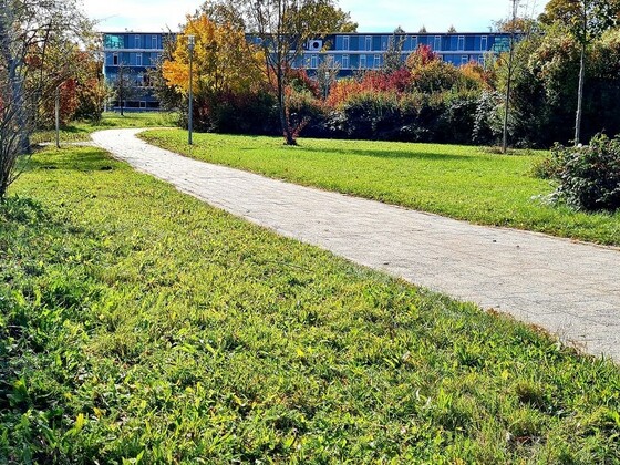 Gehölzlehrpfad Beschreibungen der Bäume