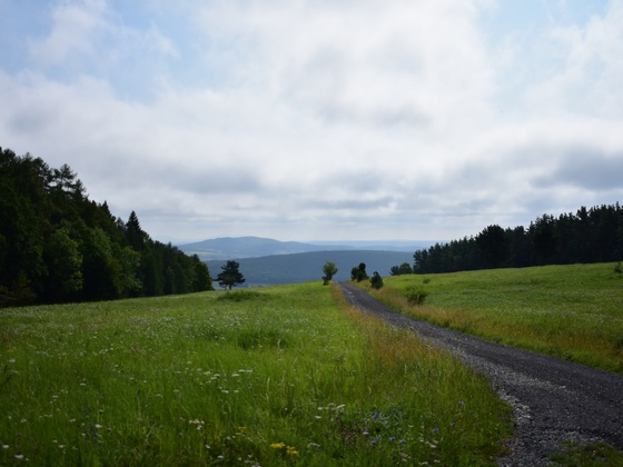 Gänsebrunnenweg, Rhön-Rundweg 4 Oberelsbach_1
