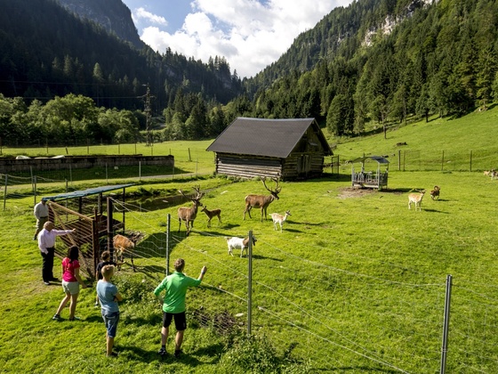 Freizeit- und Wildpark Untertauern