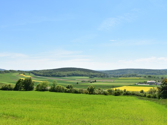 Heppbergweg, Rhön-Rundweg 7 Oberelsbach_1