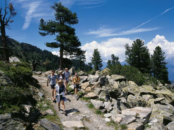 Glungezer Zirbenweg