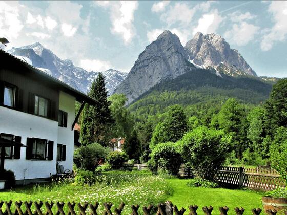 sehr schön IMG_1719 kürzerkleinerab