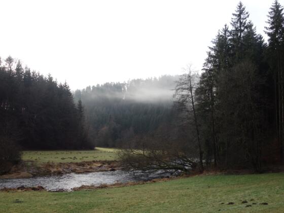 Eingang in das Pfreimdtal